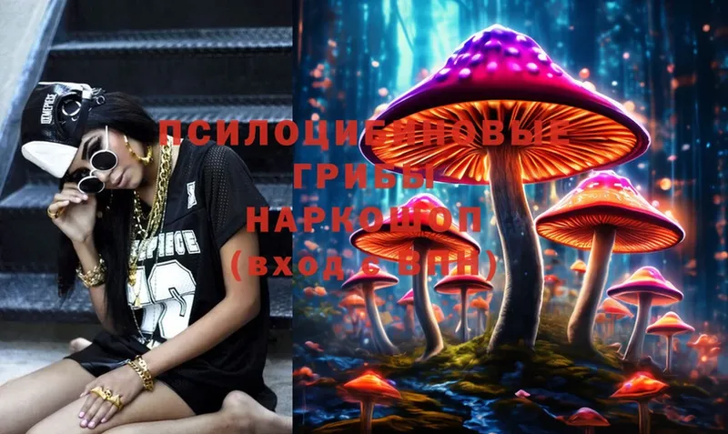 сколько стоит  Вельск  Галлюциногенные грибы Psilocybe 